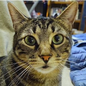 Meet your Posher, Brandon